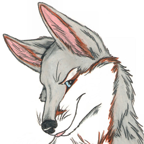 Foxler Nightfire