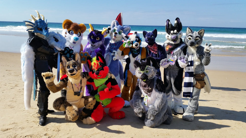 2019 Furry Down Under - Back to the Beach
Surfers Paradise, Australia
